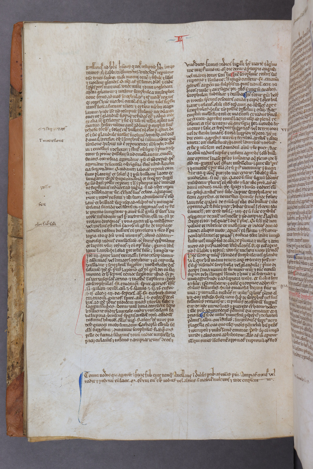 Folio 81 verso